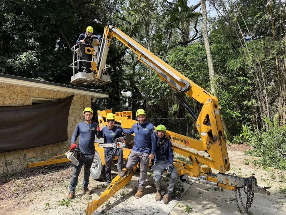OnTop Tree Service INC